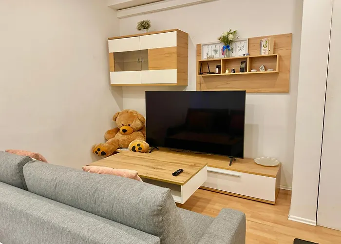 Stone Spacious Daire Viyana
